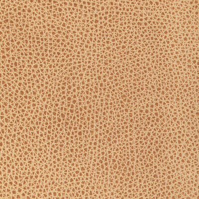 KRAVET DESIGN L-BISON.BISCOTTI.0 KRAVET DESIGN L-BISON-BISCOTTI Fabric - Eade's Wallpaper