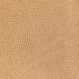 KRAVET DESIGN L-BISON.BISCOTTI.0 KRAVET DESIGN L-BISON-BISCOTTI Fabric - Eade's Wallpaper