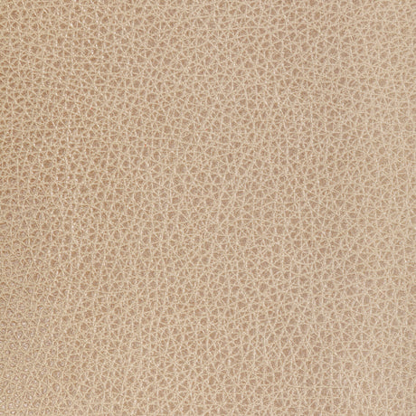 KRAVET DESIGN L-BISON.OAT.0 KRAVET DESIGN L-BISON-OAT Fabric - Eade's Wallpaper