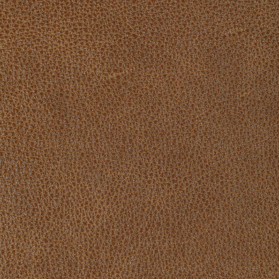 KRAVET DESIGN L-BISON.PECAN.0 KRAVET DESIGN L-BISON-PECAN Fabric - Eade's Wallpaper