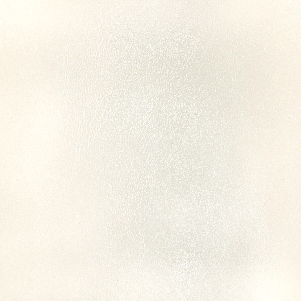 KRAVET DESIGN L-BOTA.IVORY.0 KRAVET DESIGN L-BOTA-IVORY Fabric - Eade's Wallpaper