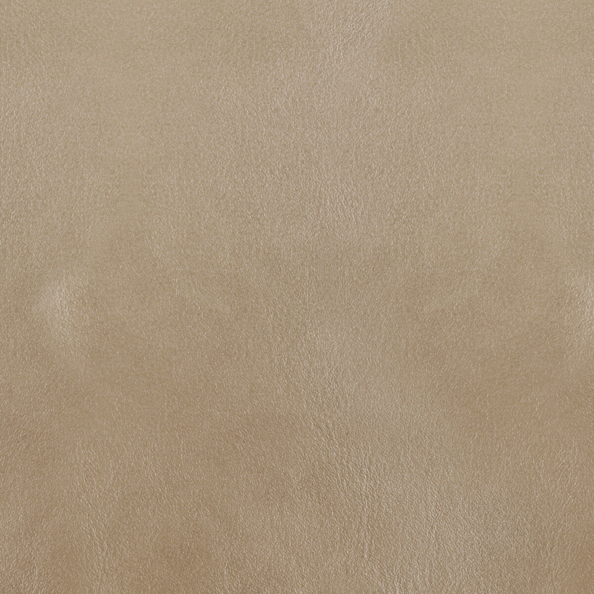 KRAVET DESIGN L-BOTA.MICA.0 KRAVET DESIGN L-BOTA-MICA Fabric - Eade's Wallpaper