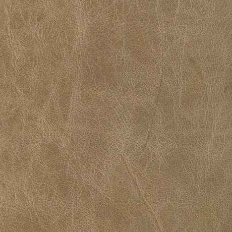 KRAVET DESIGN L-BRANTLEY.TAN.0 KRAVET DESIGN L-BRANTLEY-TAN Fabric - Eade's Wallpaper