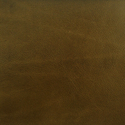 KRAVET COUTURE L-BROCKWAY.MOSS.0 KRAVET COUTURE L-BROCKWAY-MOSS Fabric - Eade's Wallpaper