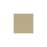 KRAVET COUTURE L-CANTLE.VELLUM.0 KRAVET COUTURE L-CANTLE-VELLUM Fabric - Eade's Wallpaper