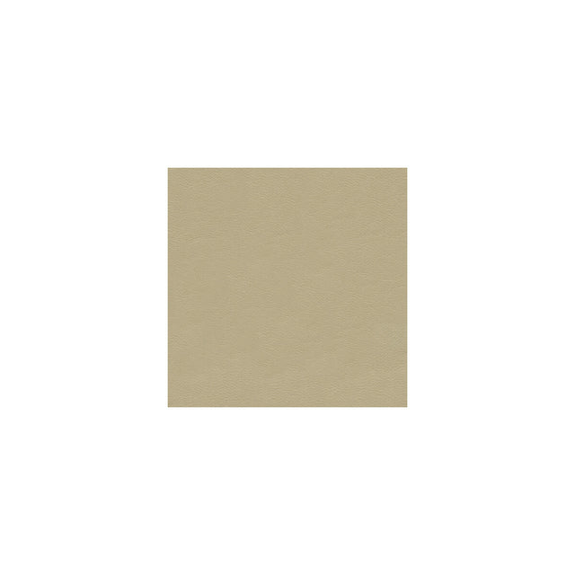 KRAVET COUTURE L-CANTLE.VELLUM.0 KRAVET COUTURE L-CANTLE-VELLUM Fabric - Eade's Wallpaper