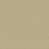 KRAVET COUTURE L-CANTLE.VELLUM.0 KRAVET COUTURE L-CANTLE-VELLUM Fabric - Eade's Wallpaper