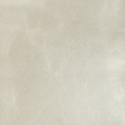 KRAVET DESIGN L-CHANTEY.FOSSIL.0 KRAVET DESIGN L-CHANTEY-FOSSIL Fabric - Eade's Wallpaper