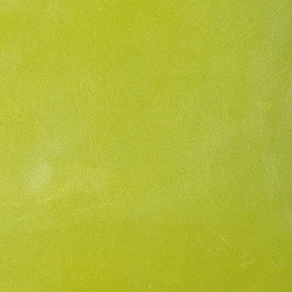 KRAVET DESIGN L-CHANTEY.PEAR.0 KRAVET DESIGN L-CHANTEY-PEAR Fabric - Eade's Wallpaper