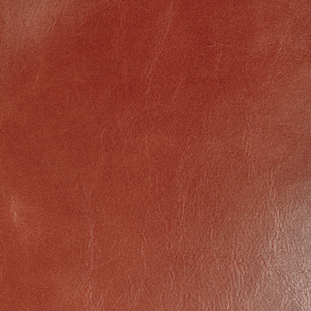 KRAVET DESIGN L-CHANTEY.RUST.0 KRAVET DESIGN L-CHANTEY-RUST Fabric - Eade's Wallpaper