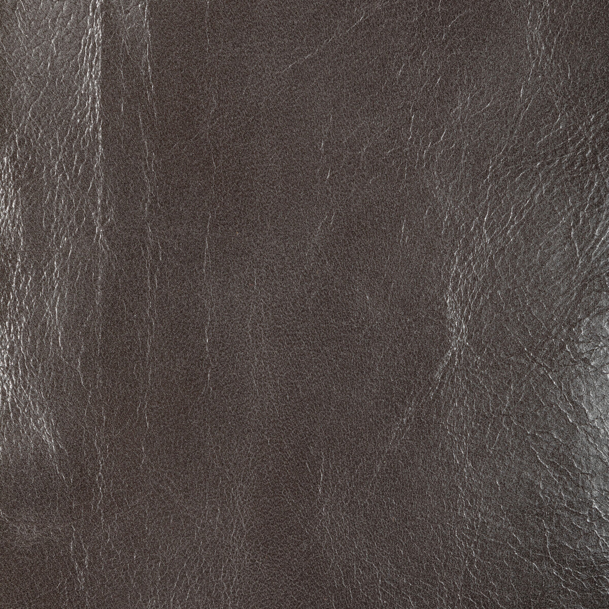 KRAVET DESIGN L-CHANTEY.SEAL.0 KRAVET DESIGN L-CHANTEY-SEAL Fabric - Eade's Wallpaper