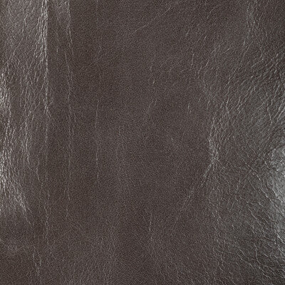 KRAVET DESIGN L-CHANTEY.SEAL.0 KRAVET DESIGN L-CHANTEY-SEAL Fabric - Eade's Wallpaper