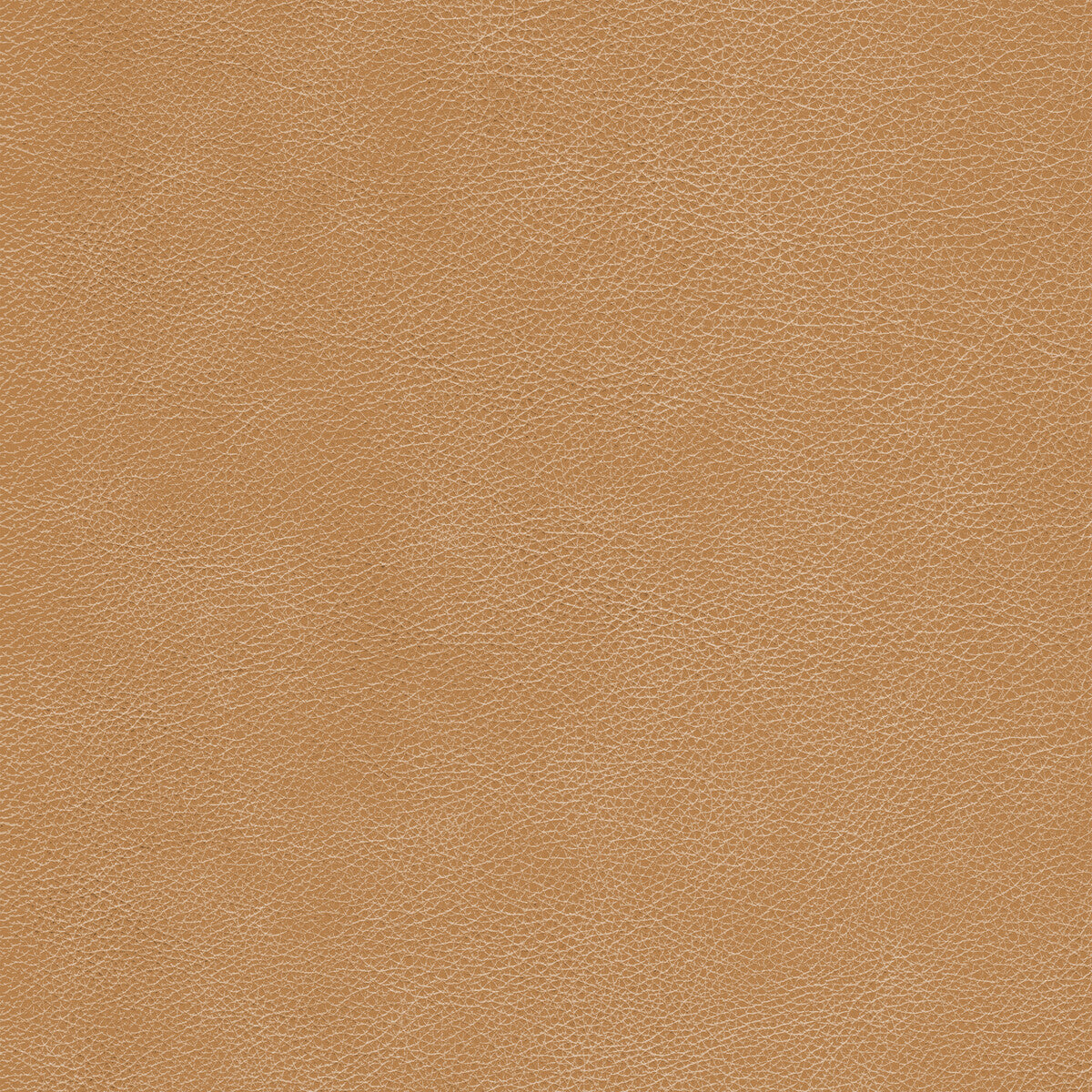 KRAVET DESIGN L-CIMARRON.CHESTNUT.0 KRAVET DESIGN L-CIMARRON-CHESTNUT Fabric - Eade's Wallpaper