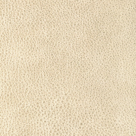 KRAVET DESIGN L-CIMARRON.CLOUD.0 KRAVET DESIGN L-CIMARRON-CLOUD Fabric - Eade's Wallpaper
