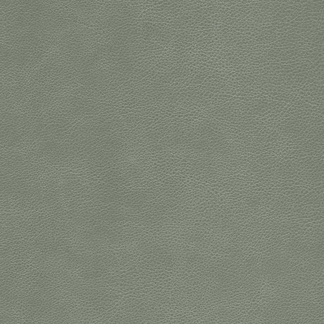 KRAVET DESIGN L-CIMARRON.ELEPHANT.0 KRAVET DESIGN L-CIMARRON-ELEPHANT Fabric - Eade's Wallpaper