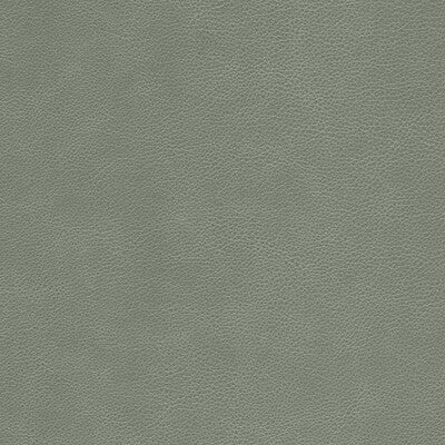 KRAVET DESIGN L-CIMARRON.ELEPHANT.0 KRAVET DESIGN L-CIMARRON-ELEPHANT Fabric - Eade's Wallpaper