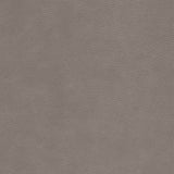 KRAVET DESIGN L-CIMARRON.FAWN.0 KRAVET DESIGN L-CIMARRON-FAWN Fabric - Eade's Wallpaper