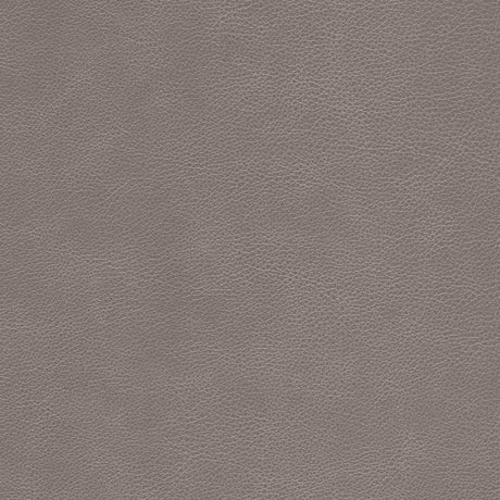 KRAVET DESIGN L-CIMARRON.FAWN.0 KRAVET DESIGN L-CIMARRON-FAWN Fabric - Eade's Wallpaper