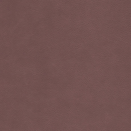 KRAVET DESIGN L-CIMARRON.WHISKEY.0 KRAVET DESIGN L-CIMARRON-WHISKEY Fabric - Eade's Wallpaper
