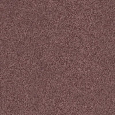 KRAVET DESIGN L-CIMARRON.WHISKEY.0 KRAVET DESIGN L-CIMARRON-WHISKEY Fabric - Eade's Wallpaper