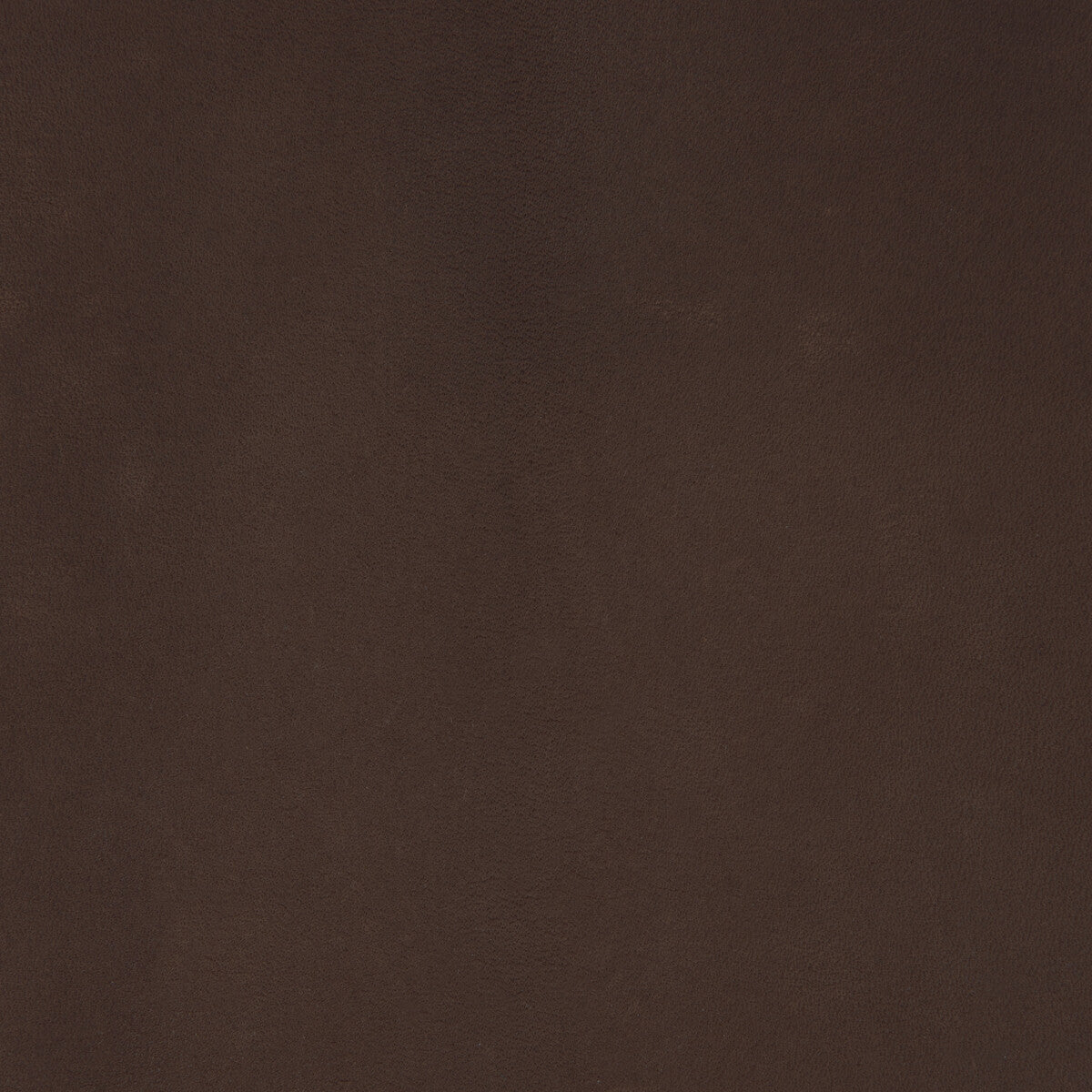 KRAVET DESIGN L-COIRO.MOLASSES.0 KRAVET DESIGN L-COIRO-MOLASSES Fabric - Eade's Wallpaper