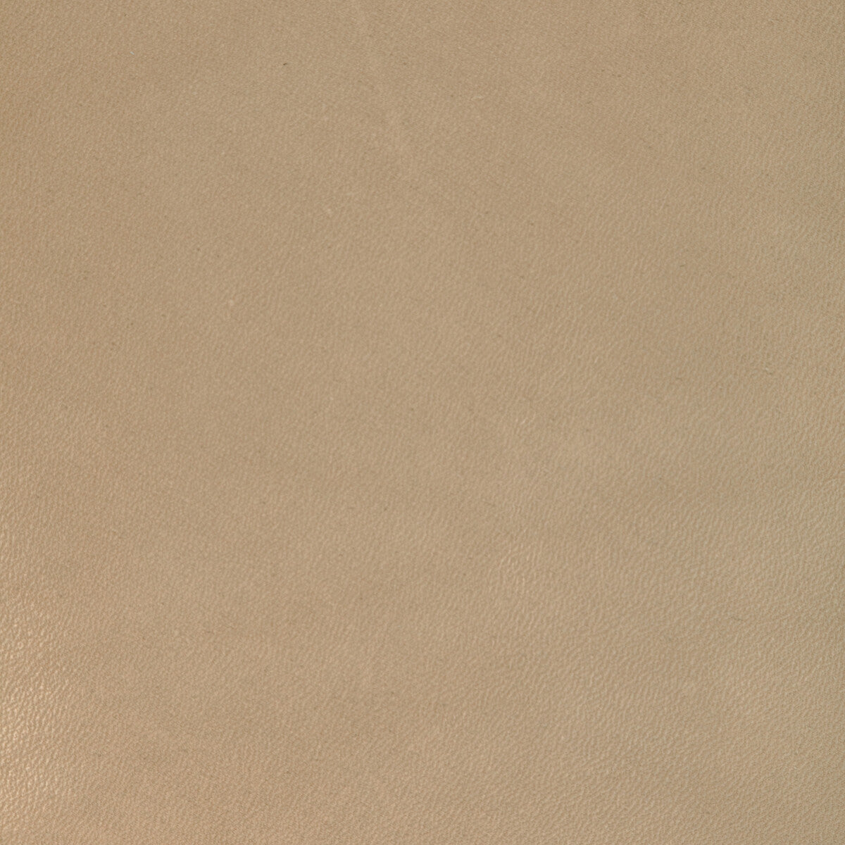 KRAVET DESIGN L-COIRO.TAN.0 KRAVET DESIGN L-COIRO-TAN Fabric - Eade's Wallpaper