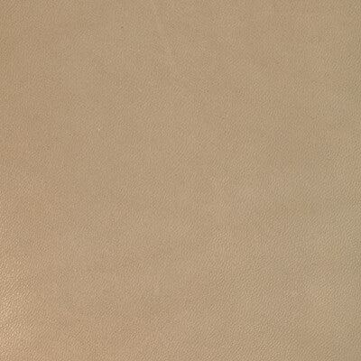 KRAVET DESIGN L-COIRO.TAN.0 KRAVET DESIGN L-COIRO-TAN Fabric - Eade's Wallpaper