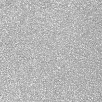 KRAVET DESIGN L-CONCHAS.SILVER.0 KRAVET DESIGN L-CONCHAS-SILVER Fabric - Eade's Wallpaper