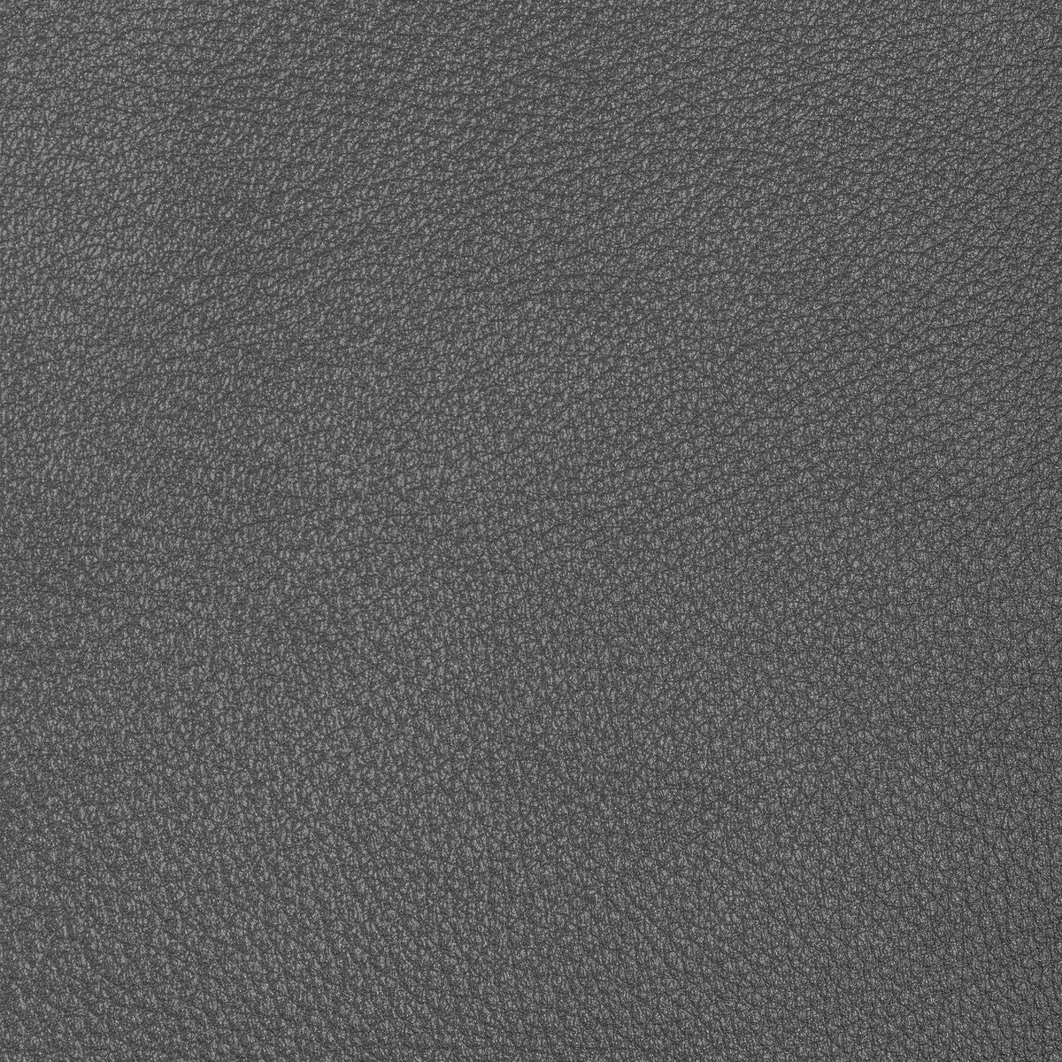 KRAVET DESIGN L-CONCHAS.STEEL.0 KRAVET DESIGN L-CONCHAS-STEEL Fabric - Eade's Wallpaper