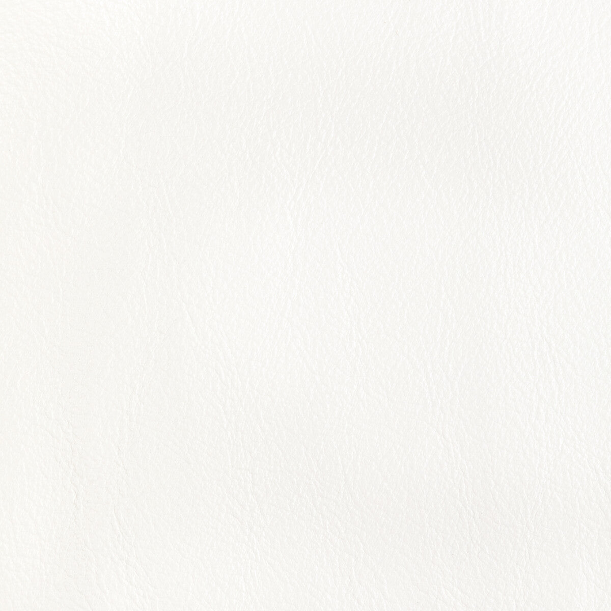 KRAVET DESIGN L-CORRALS.SALT.0 KRAVET DESIGN L-CORRALS-SALT Fabric - Eade's Wallpaper