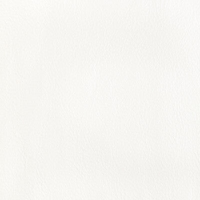 KRAVET DESIGN L-CORRALS.SALT.0 KRAVET DESIGN L-CORRALS-SALT Fabric - Eade's Wallpaper