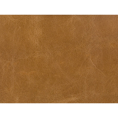 KRAVET COUTURE L-COSMO.BUCK.0 KRAVET COUTURE L-COSMO-BUCK Fabric - Eade's Wallpaper