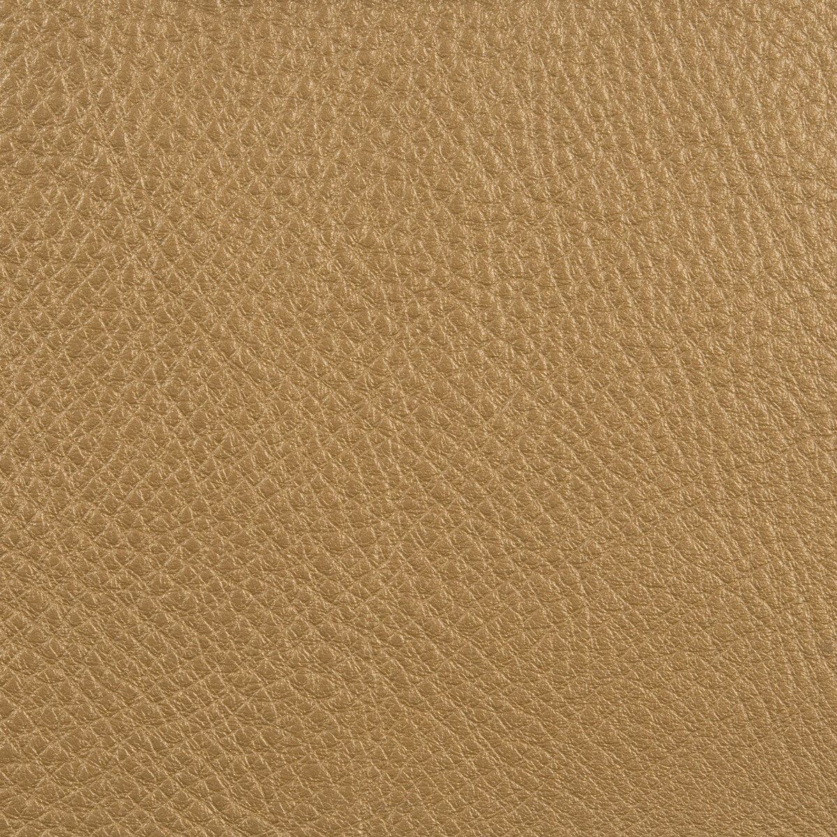 KRAVET DESIGN L-COUNTRY.GOLD RUSH.0 L-COUNTRY  Fabric - Eade's Wallpaper