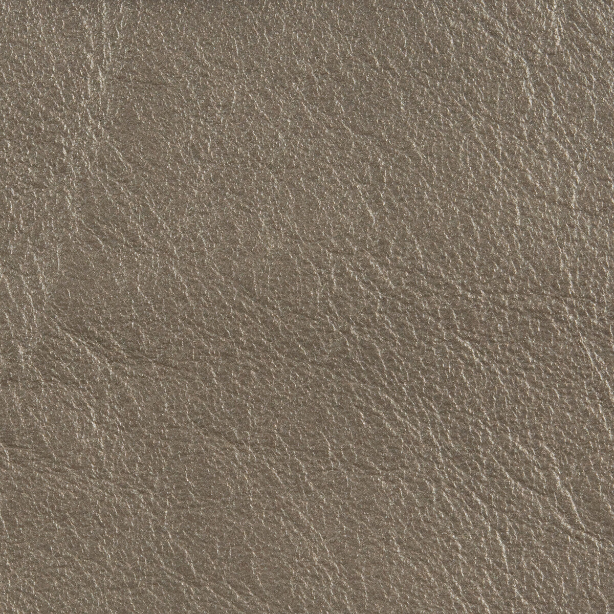 KRAVET DESIGN L-COUNTRY.PLATINUM.0 L-COUNTRY PLATINUM Fabric - Eade's Wallpaper