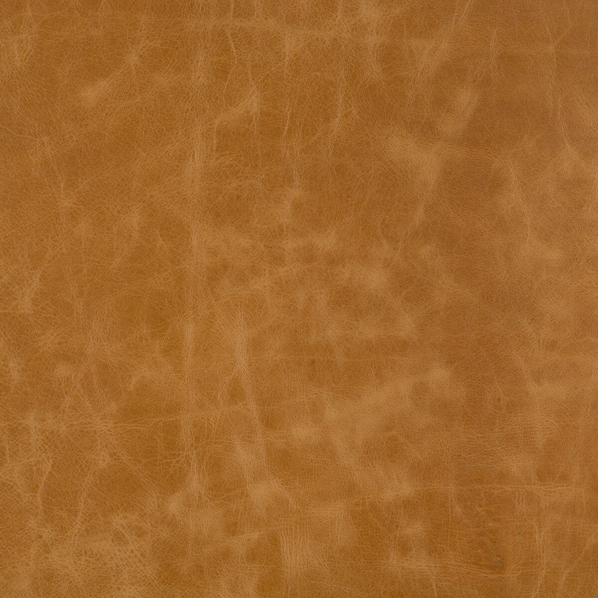 KRAVET DESIGN L-CUERO.ADOBE.0 KRAVET DESIGN L-CUERO-ADOBE Fabric - Eade's Wallpaper