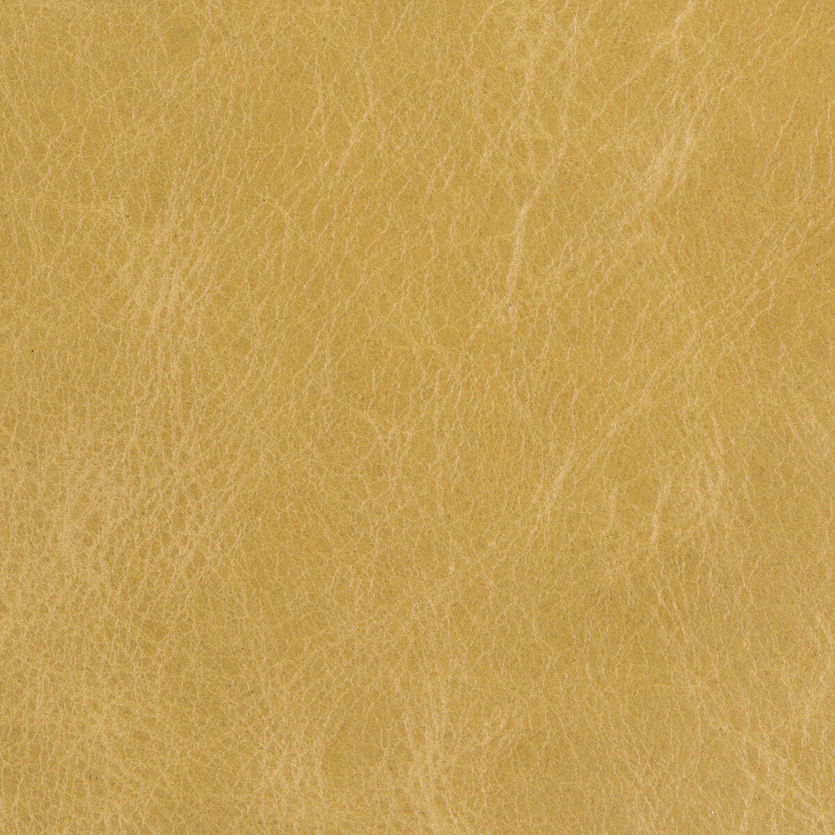 KRAVET COUTURE L-DAVOS.SAP.0 KRAVET COUTURE L-DAVOS-SAP Fabric - Eade's Wallpaper