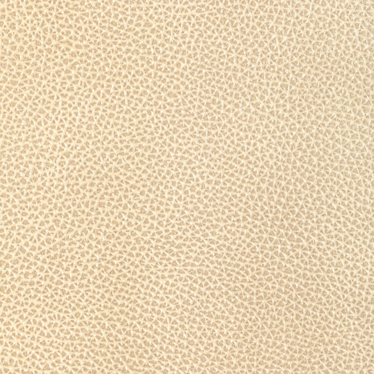 KRAVET DESIGN L-DIXIE.CHAMPAGNE.0 KRAVET DESIGN L-DIXIE-CHAMPAGNE Fabric - Eade's Wallpaper