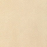 KRAVET DESIGN L-DIXIE.CHAMPAGNE.0 KRAVET DESIGN L-DIXIE-CHAMPAGNE Fabric - Eade's Wallpaper