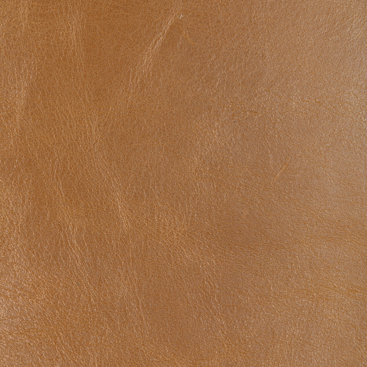 KRAVET DESIGN L-DROVERS.CARAMEL.0 KRAVET DESIGN L-DROVERS-CARAMEL Fabric - Eade's Wallpaper