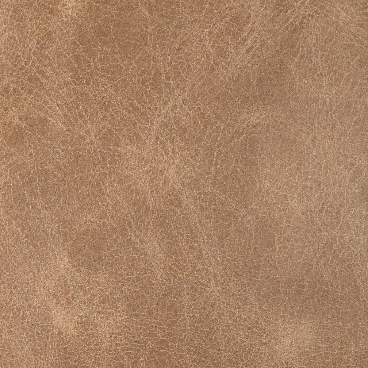 KRAVET DESIGN L-DROVERS.PEANUT.0 KRAVET DESIGN L-DROVERS-PEANUT Fabric - Eade's Wallpaper