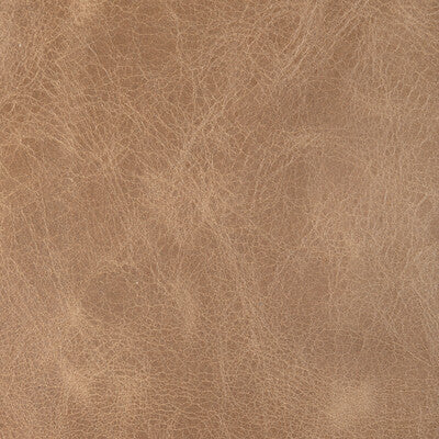 KRAVET DESIGN L-DROVERS.PEANUT.0 KRAVET DESIGN L-DROVERS-PEANUT Fabric - Eade's Wallpaper