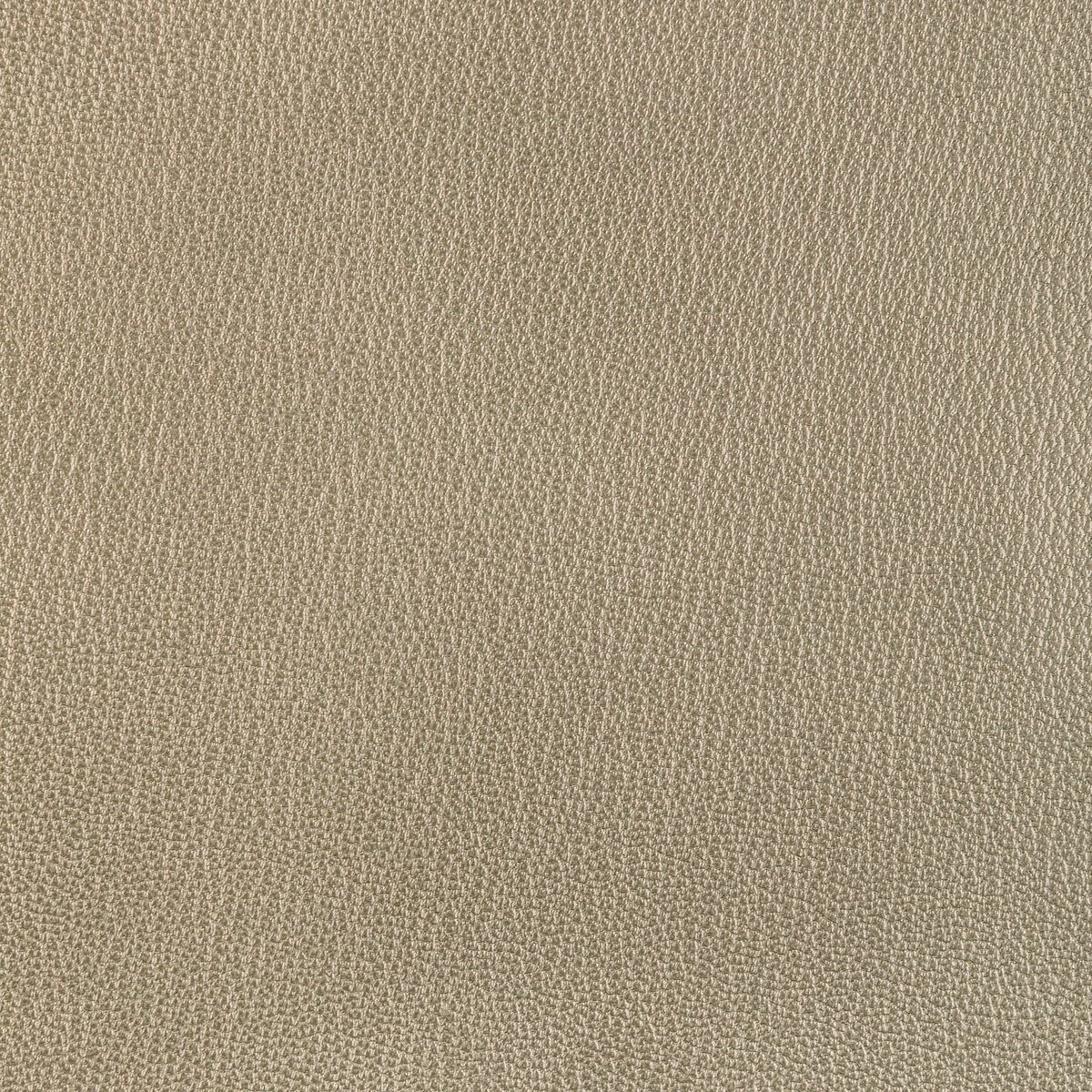 KRAVET DESIGN L-EL RITO.GOLD.0 KRAVET DESIGN L-EL RITO-GOLD Fabric - Eade's Wallpaper