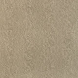 KRAVET DESIGN L-EL RITO.GOLD.0 KRAVET DESIGN L-EL RITO-GOLD Fabric - Eade's Wallpaper