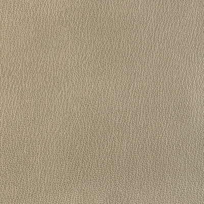 KRAVET DESIGN L-EL RITO.GOLD.0 KRAVET DESIGN L-EL RITO-GOLD Fabric - Eade's Wallpaper