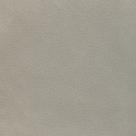 KRAVET DESIGN L-EL VADO.STONE.0 KRAVET DESIGN L-EL VADO-STONE Fabric - Eade's Wallpaper