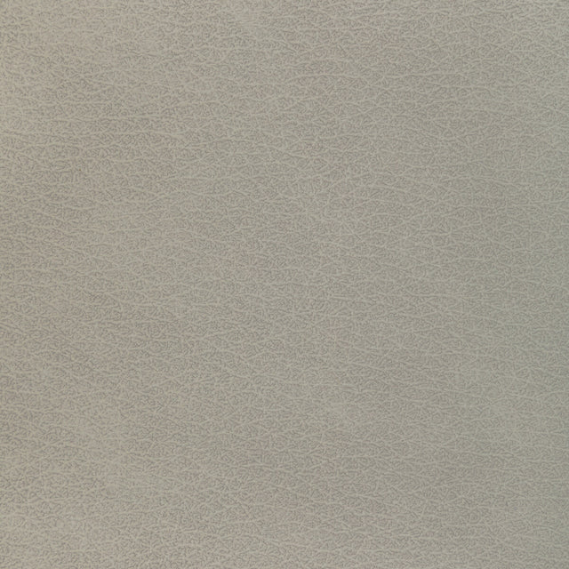 KRAVET DESIGN L-EL VADO.STONE.0 KRAVET DESIGN L-EL VADO-STONE Fabric - Eade's Wallpaper