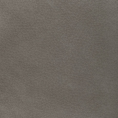 KRAVET DESIGN L-EL VADO.TAUPE.0 KRAVET DESIGN L-EL VADO-TAUPE Fabric - Eade's Wallpaper