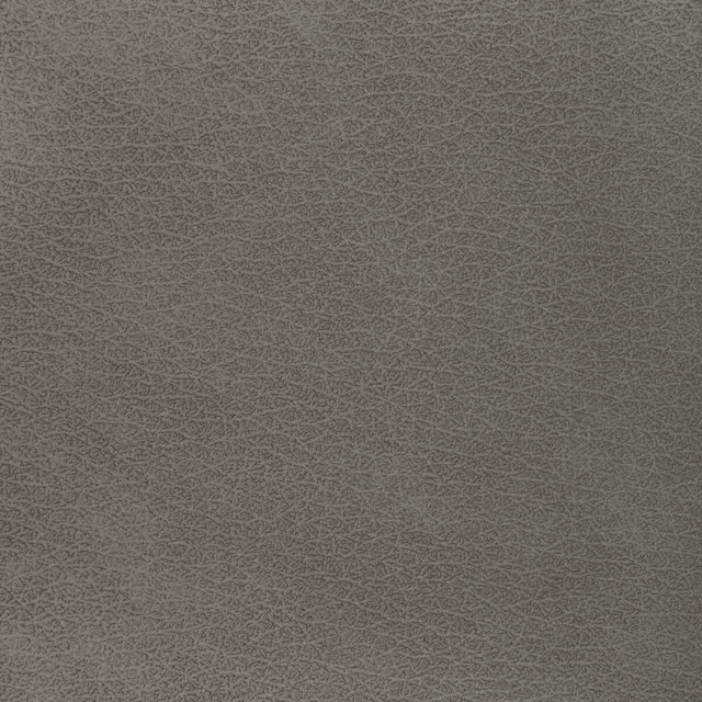 KRAVET DESIGN L-EL VADO.TAUPE.0 KRAVET DESIGN L-EL VADO-TAUPE Fabric - Eade's Wallpaper