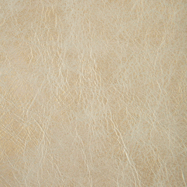 KRAVET COUTURE L-GILDED.PLATINUM.0 L-GILDED PLATINUM Fabric - Eade's Wallpaper