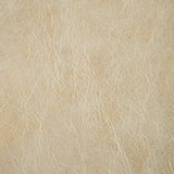 KRAVET COUTURE L-GILDED.PLATINUM.0 L-GILDED PLATINUM Fabric - Eade's Wallpaper